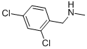 N-(2,4-Dichlorobenzyl)-N-methylamine