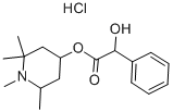 Eucatropine hydrochloride