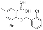 3-Bromo-2-(2′-chlorobenzyloxy)-5-methylphenylboronic acid
