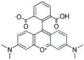 6-TAMRA/ [6-Carboxytetramethylrhodamine]