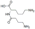 gamma-Aminobutyryl-lysine