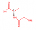 Glycyl-​D-​alanine