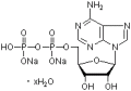 Adenosine-5'-diphosphate, disodium salt hydrate