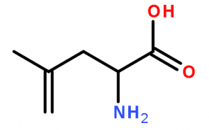 4,5-Dehydro-leucine