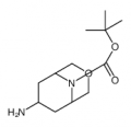 tert-butyl endo-7-amino-3-oxa-9-azabicyclo[3.3.1]nonane-9-carboxylate