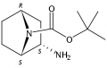 tert-butyl (1R,2R,4S)-rel-2-amino-7-azabicyclo[2.2.1]heptane-7-carboxylate