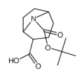 8-[(tert-butoxy)carbonyl]-8-azabicyclo[3.2.1]octane-2-carboxylic acid