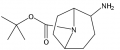 tert-butyl 2-amino-8-azabicyclo[3.2.1]octane-8-carboxylate