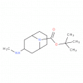 exo-3-methylamino-9-boc-9-azabicyclo[3.3.1]nonane