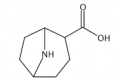 8-Azabicyclo[3.2.1] octane-2-carboxylic acid,