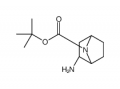 tert-butyl (1R,3R,4S)-3-amino-7-azabicyclo[2.2.1]heptane-7-carboxylate