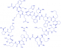 Acetyl-ACTH (2-24) (human, bovine, rat) trifluoroacetate salt