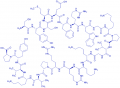 (Des-His⁶)-ACTH (1-24) (human, bovine, rat) trifluoroacetate salt