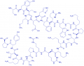 (D-Lys¹⁶)-ACTH (1-24) (human, bovine, rat) trifluoroacetate salt