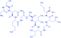 (Nle³⁵)-Amyloid β-Protein (25-35) trifluoroacetate salt