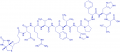 Biotinyl-Angiotensin I trifluoroacetate salt