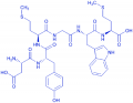 Cholecystokinin Octapeptide (1-6) (desulfated)