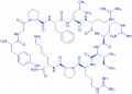 (Pro³)-Dynorphin A (1-11) amide trifluoroacetate salt