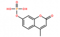 4-Methylumbelliferyl phosphate