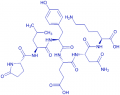 Neurotensin (1-6) trifluoroacetate salt