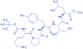 Boc-(Lys⁹)-Neurotensin (9-13)-methyl ester hydrochloride salt