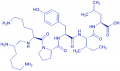 (Lys⁸-psi(CH₂NH)Lys⁹)-Neurotensin (8-13)