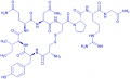 (Arg⁸)-Vasotocin acetate salt