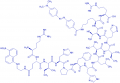 Renin Substrate 1 trifluoroacetate salt