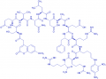 Mca-(Asn⁶⁷⁰,Leu⁶⁷¹)-Amyloid β/A4 Protein Precursor₇₇₀ (667-676)-Lys(Dnp)-Arg-Arg amide trifluoroacetate salt