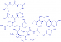 Tau Peptide (301-315) trifluoroacetate salt