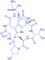 ((R)-4-Hydroxy-4-methyl-Orn⁷)-Phalloidin