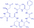 Lactoferrin (322-329) (human) trifluoroacetate salt