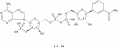 Coenzyme II reduced tetrasodium salt