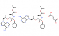 Tenofovir Alafenamide Hemifumarate